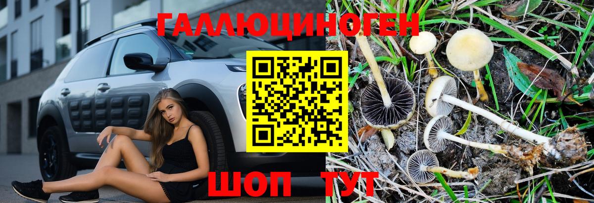 Псилоцибиновые грибы мицелий Канаш