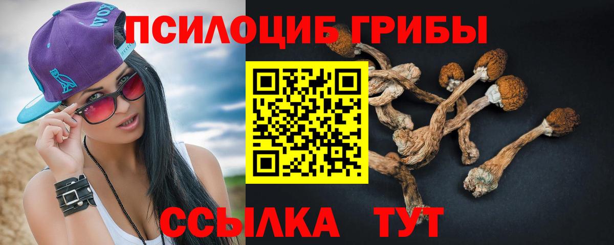 Галлюциногенные грибы Psilocybine cubensis  Псилоцибиновые грибы Psilocybine cubensis  купить наркотик  Канаш  Вход с VPN 